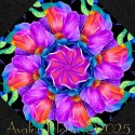 Petal Power Kaleidoscope Quilt Block Kit