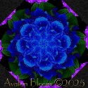 Midnight Bloom Kaleidoscope Quilt Block Kit