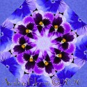 Pansy Perfection Kaleidoscope Quilt Block Kit