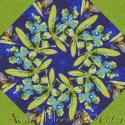 Ombre Wild Blossoms Sun Up to Sun Down Rainbow Kaleidoscope Quilt Block Kit