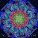 Dragonfly Illusion Pre-cut Kaleidoscope Quilt Block Kit