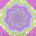 Tula Pink Untamed Daisy and Confused Kaleidoscope Quilt Block Kit