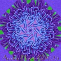 Kaffe Fassett Purple Japanese Chrysanthemum Kaleidoscope Quilt Block Kit