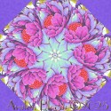 Tula Pink Peony for Your Thoughts  Untamed Kaleidoscope Quilt Block Kit