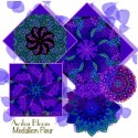 Medallion Fleur by Chong-A Hwang Kaleidoscope Quilt Block Kit