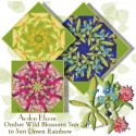 Ombre Wild Blossoms Sun Up to Sun Down Rainbow Kaleidoscope Quilt Block Kit