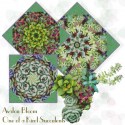 One of a Kind Succulents Kaleidoscope Quilt Block Kit