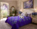 Dragonfly Mist Kallusions Queen Kaleidoscopes Quilt Top Kit